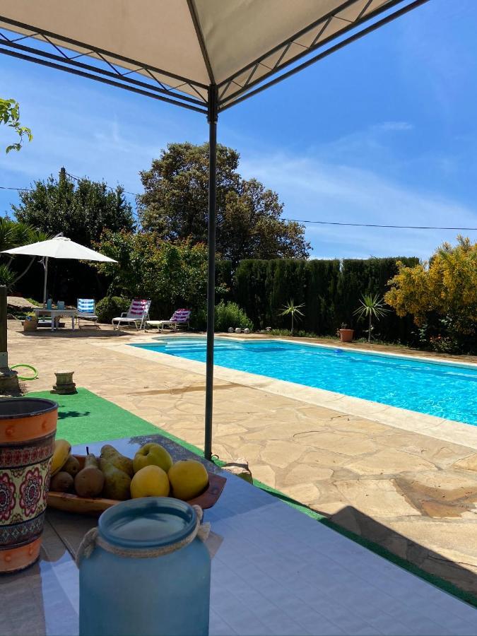 Cabana Rural El Molino - Jacuzzi La Cimada 외부 사진
